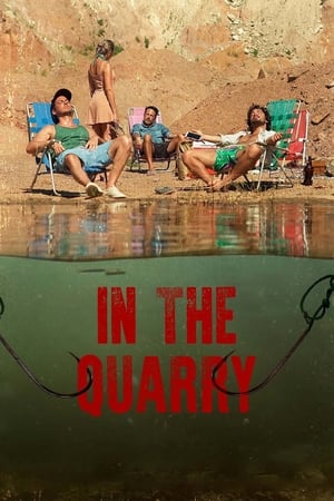 watch In the Quarry