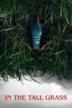 In the Tall Grass watch In the Tall Grass