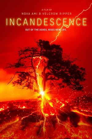 Incandescence watch Incandescence