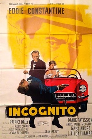 Incognito watch Incognito