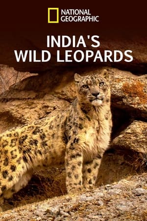 India's Wild Leopards watch India's Wild Leopards