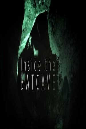 Inside the Bat Cave watch Inside the Bat Cave