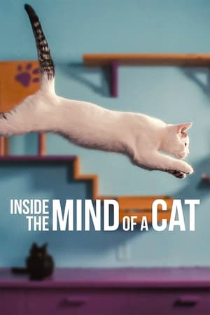 Inside the Mind of a Cat watch Inside the Mind of a Cat