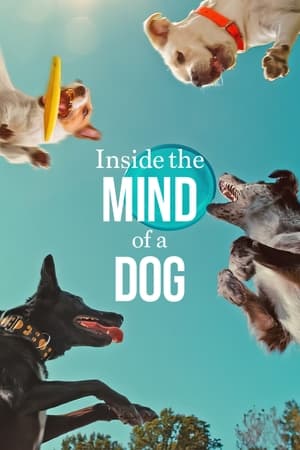 Inside the Mind of a Dog watch Inside the Mind of a Dog