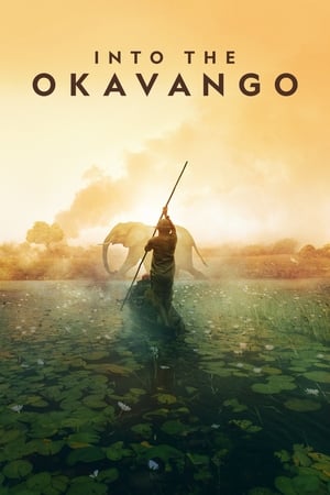 watch Into the Okavango