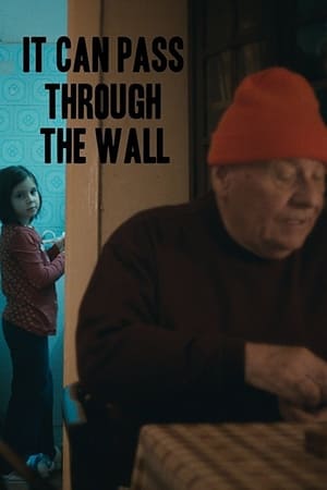 It Can Pass Through the Wall watch It Can Pass Through the Wall