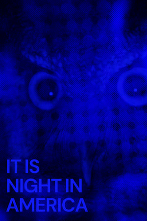 watch It Is Night in America