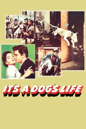 It's a Dog's Life watch It's a Dog's Life