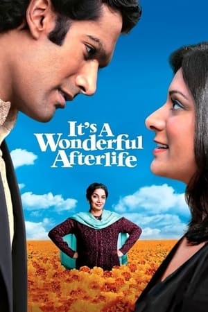 watch It's a Wonderful Afterlife