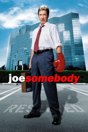 Joe Somebody watch Joe Somebody