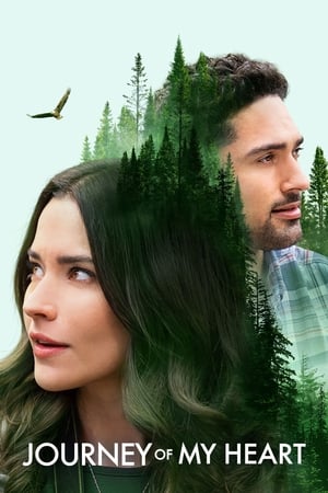 Journey of My Heart watch Journey of My Heart
