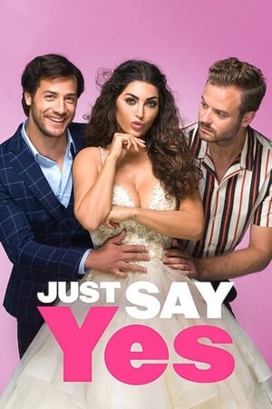 watch Just Say Yes