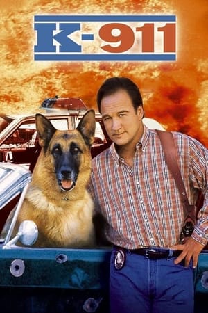 K-911 watch K-911