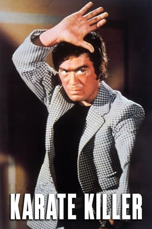 Karate Killer watch Karate Killer