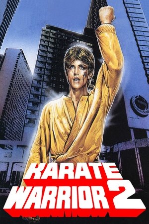 watch Karate Warrior 2