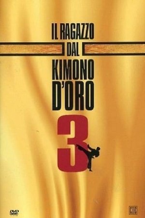 watch Karate Warrior 3