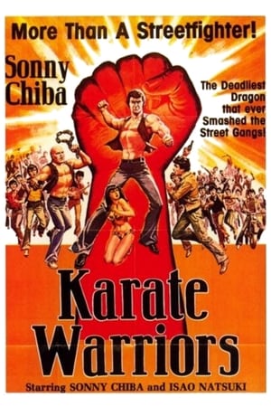 Karate Warriors watch Karate Warriors