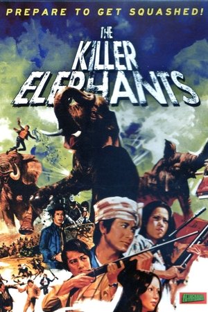 Killer Elephants watch Killer Elephants