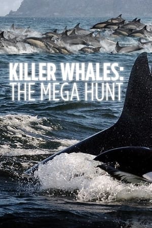 Killer Whales: the Mega Hunt watch Killer Whales: the Mega Hunt