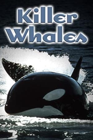 Killer Whales: Up Close and Personal watch Killer Whales: Up Close and Personal