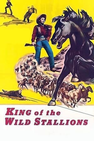 King of the Wild Stallions watch King of the Wild Stallions
