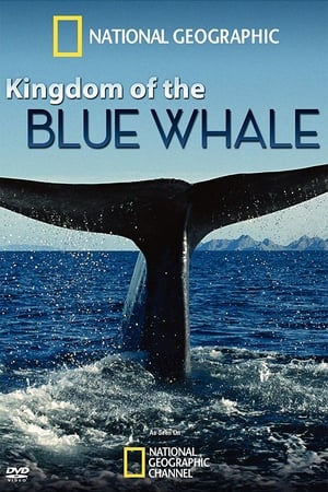 Kingdom of the Blue Whale watch Kingdom of the Blue Whale