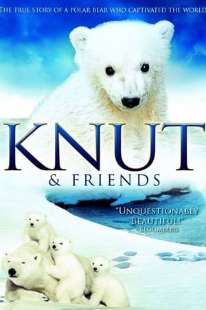 Knut & Friends watch Knut & Friends