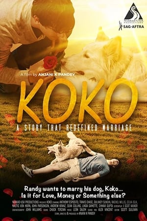 Koko watch Koko