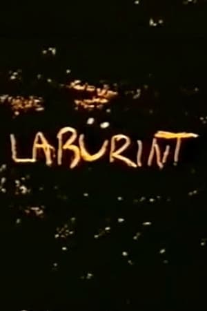 Labyrinth watch Labyrinth