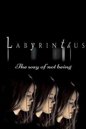 Labyrinthus:The way of not being watch Labyrinthus:The way of not being