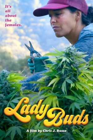 Lady Buds watch Lady Buds