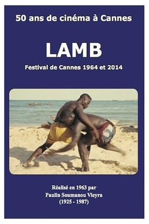 Lamb watch Lamb