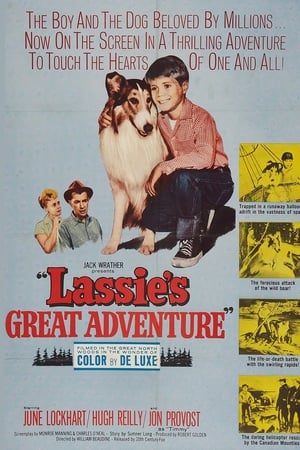 Lassie's Great Adventure watch Lassie's Great Adventure