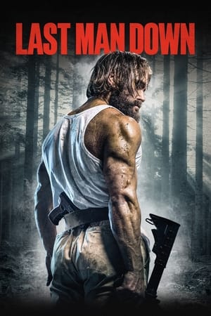 watch Last Man Down