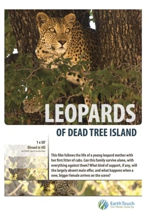 Leopards of Dead Tree Island watch Leopards of Dead Tree Island