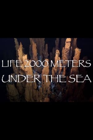 Life 2,000 Meters Under the Sea watch Life 2,000 Meters Under the Sea