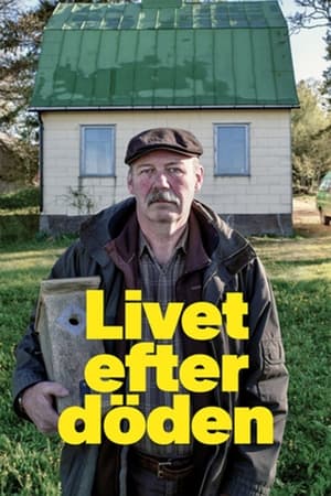 Life After Death watch Life After Death