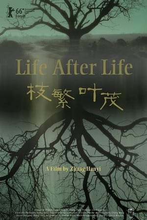 Life After Life watch Life After Life