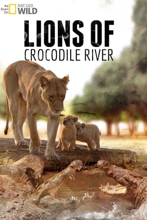 Lions of Crocodile River watch Lions of Crocodile River
