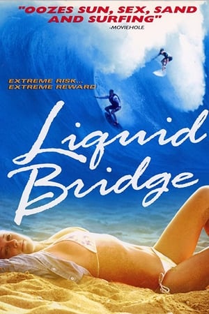 Liquid Bridge watch Liquid Bridge