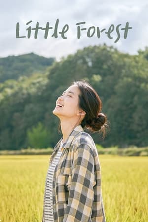 watch Little Forest