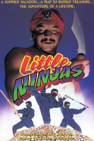 Little Ninjas watch Little Ninjas
