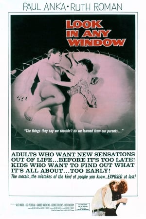 Look in Any Window watch Look in Any Window