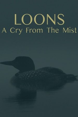 Loons: A Cry from the Mist watch Loons: A Cry from the Mist