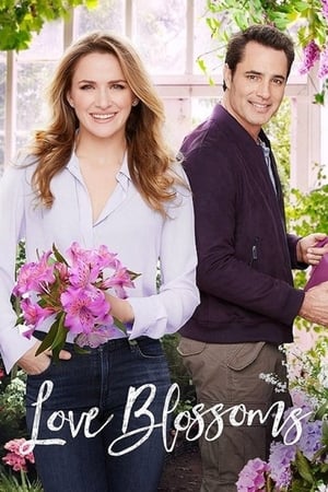 watch Love Blossoms