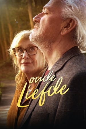 watch Love Revisited