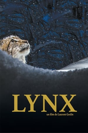 Lynx watch Lynx