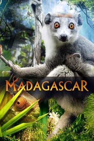 watch Madagascar 3D