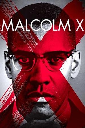 Malcolm X watch Malcolm X