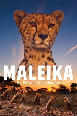 Maleika watch Maleika